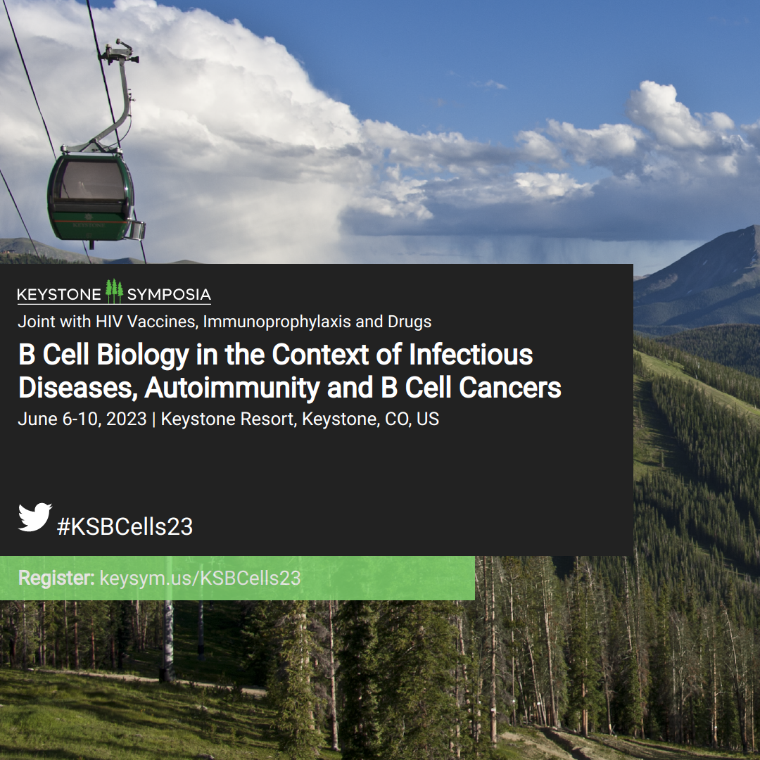 B Cell Biology In The Context Of Infectious Diseases, Autoimmunity And ...